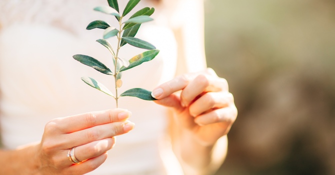 Comprehensive Neuropsychological Evaluation